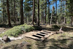 green natural burial site prepared for ceremony at The Forest Conservation Burial Ground near Ashland Oregon
