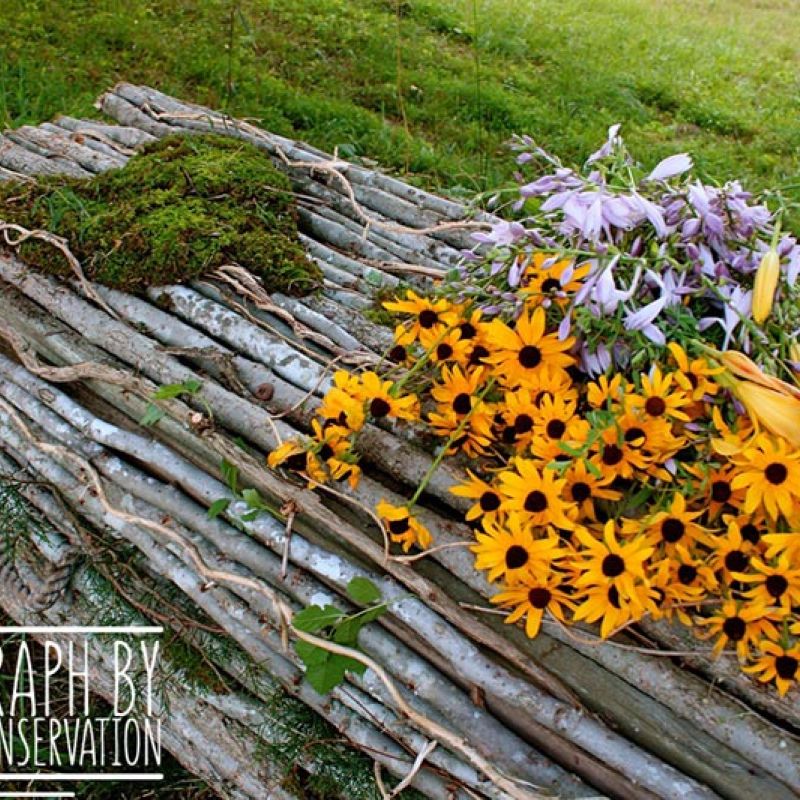 natural branch and twigs casket
