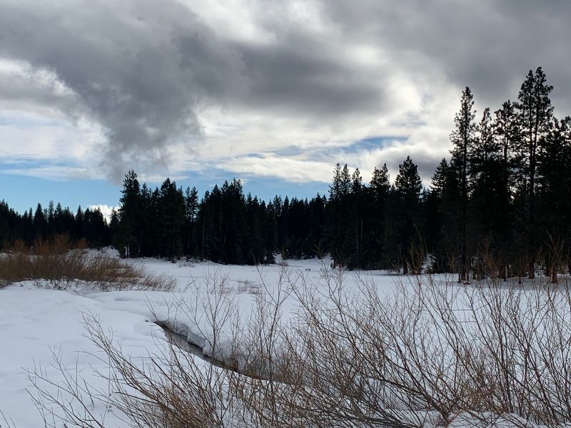 meadow in creek with snow