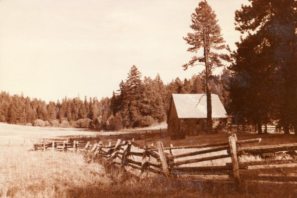 Willow-Witt Ranch when purchased in 1985