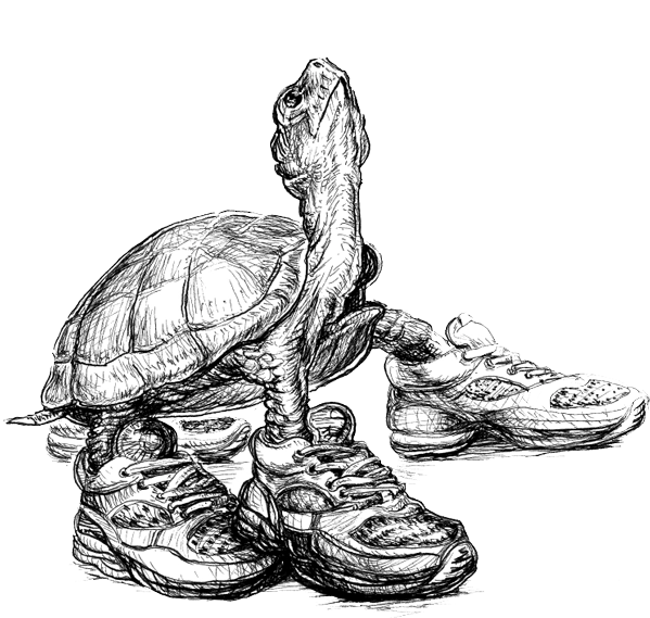 The Crest Turtle Trot Willow Witt Ranch Ashland Oregon