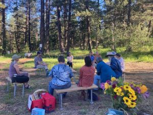 The Forest Summer Solstice Celebration gathering
