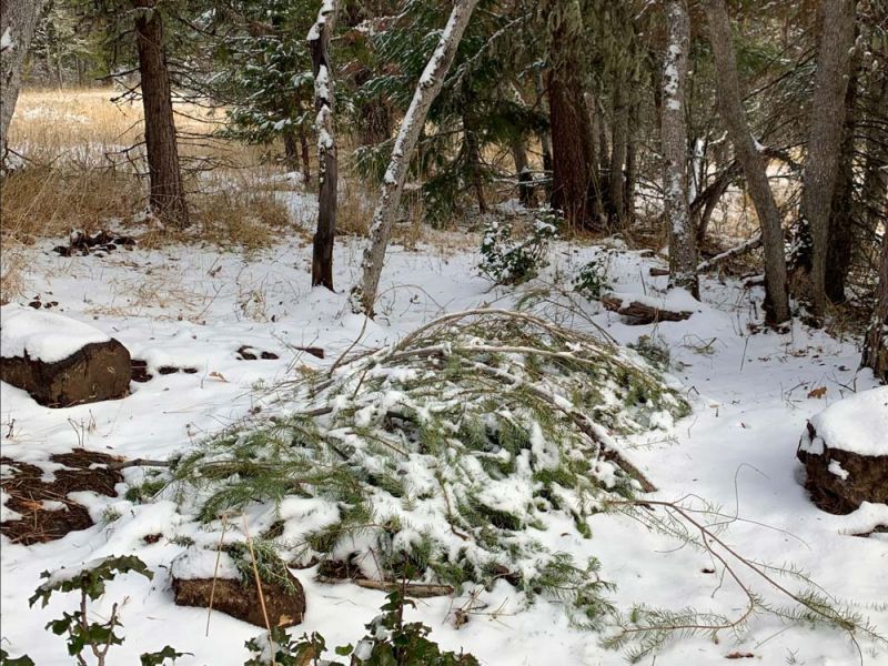 first Jewish burial at The Forest