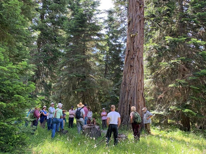 people gathered at The Forest burial ground