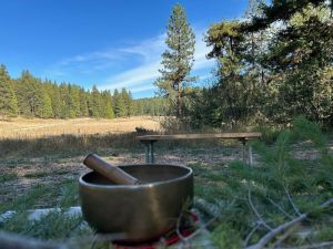 sound bowl at The Forest for Fall Equinox Celebration