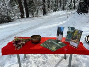 table with sound bowl and literature at the Winter Solstice Celebration 2025 at The Forest