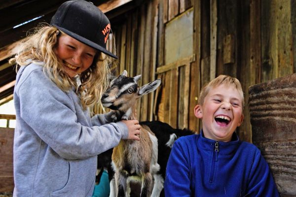 laughing sister and brother with baby goat at Willow-Witt Ranch barn