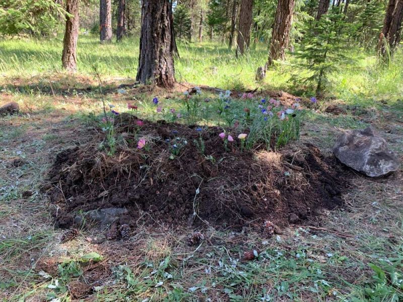 Natural burial mound planted with flowers
